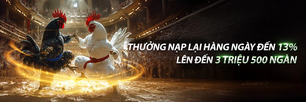 Trận đá gà trực tuyến kịch tính tại Banca90 Đá Gà